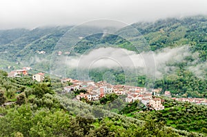 Small village surrounded by olive trees in Tuscany