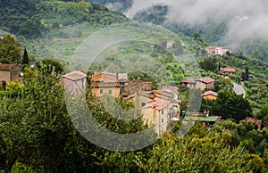 Small village surrounded by olive trees in Tuscany