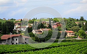 Small village vineyards province of Brescia Lombardy Italy