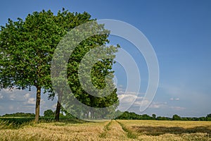 the small village of Weseke in germany