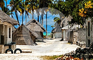 Small Village in Zanzibar photo