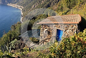 Small Vineyard House above the Sea