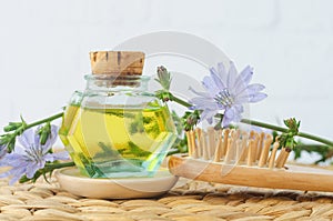 Small vintage bottle with masage oil (tincture, extract, infusion), wooden hairbrush and chicory flowers.