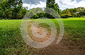 Small walking path in a park