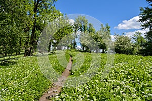 Small walking trail on top of Vysoka peak in Little Carpathians