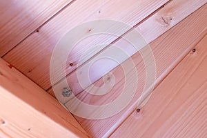 Small wasp nest in the garden house