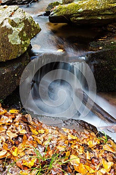 Small water cascade flows through golden fallen leaves