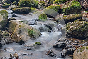 a small water fall in a europen forest