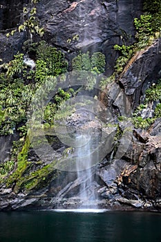 Small water fall in the Milford Sound