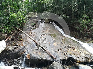 Small Water fall in tropical rain forest in srilanka