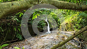 A small water fall view