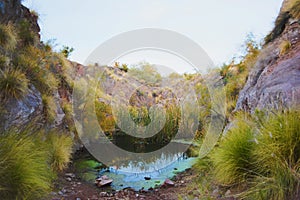 Small water pond in the Sonoran desert