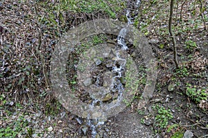 Small waterfall and slope with spring plants and trees