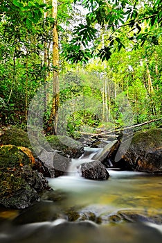 Small waterfal at bintan Island Indonesia