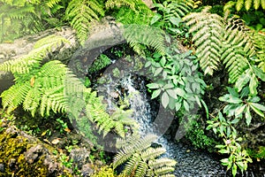 Small waterfall in autumn forest