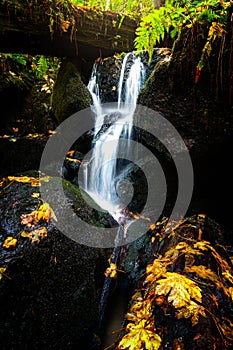 Small Waterfall and Autumn Maple Leaves, Northern California