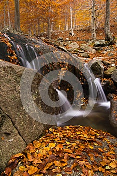 Small waterfall in autumn. Montseny, Spain.