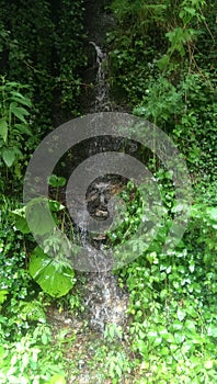 Small waterfall with beautiful vegetation in summertime