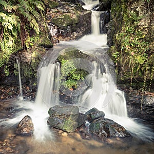 Small waterfall in black forest, Germany