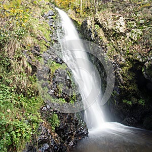 Small waterfall in black forest, Germany