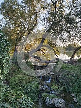 Small waterfall in the Bois de Boulogne