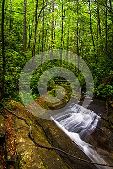 Small waterfall on Carrick Creek, at Table Rock State Park, South Carolina.