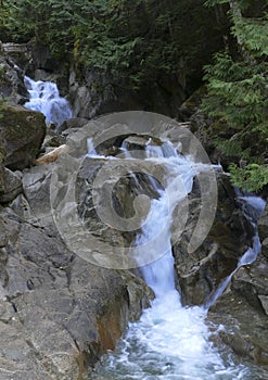 Small Waterfall Cascade in Rocky Stream as it rushes through the Forest