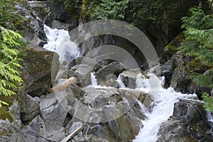 Small Waterfall Cascade in Rocky Stream as it rushes through the Forest