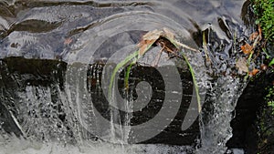 Small Waterfall or Cascade on a Stream in the Forest