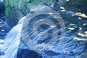 SMALL WATERFALL CASCADING OVER ROCKS WITH YELLOW FLOATING LEAVES