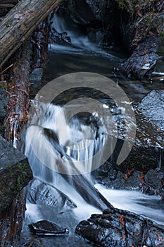 Small Waterfall with Cedar Logs