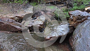 Small waterfall with chirping crickets Australian rain forest sounds