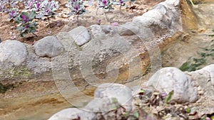 A small waterfall close-up