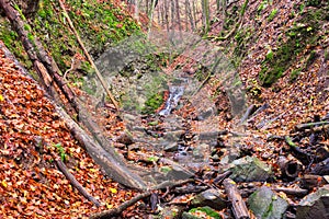 Wilderness in Turovska roklina gorge during autumn in Kremnicke vrchy mountains