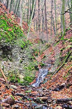 Small waterfall in creek in Turovska roklina gorge during autumn in Kremnicke vrchy mountains