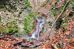 Small waterfall in creek in Turovska roklina gorge during autumn in Kremnicke vrchy mountains