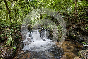 Small waterfall in the dark forest. Waterfalls and vegetation inside the Bwindi Impenetrable Forest