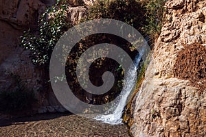 Small waterfall, Ein Gedi Israel