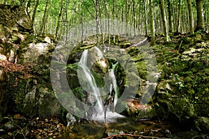 small waterfall falls through the moss