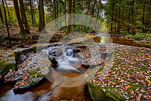 Small waterfall on Flat Lick Creek near Gray Hawk, Kentucky