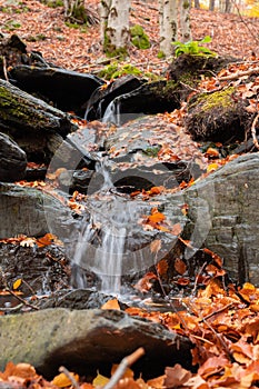 Small waterfall flowing through moss covered rocks and fallen colorful autumn leaves