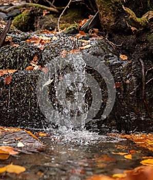 Small waterfall flowing through moss covered rocks and fallen colorful autumn leaves