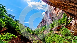 A waterfall flowing over the cliffs overhanging the trail to the Lower Emerald Pool in Zion National Park, Utah, United States