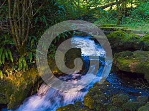 A small waterfall in forest