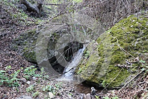 Small waterfall in the forest