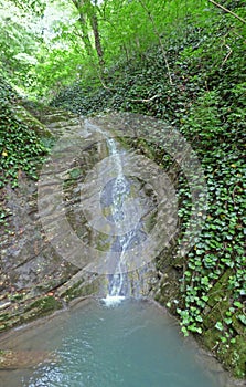 Small waterfall in the forest