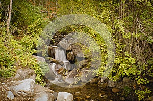 Small waterfall in the forest