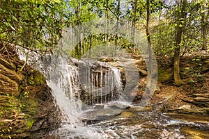 A small waterfall in the forest.