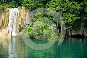 Small Waterfall in the Forest