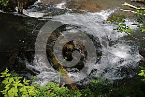 A small waterfall in the forest. Bright juicy greens and splashes of water. A quiet and peaceful place for family holidays